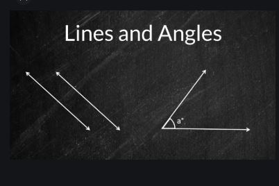 Properties of Angles and Lines ICSE Class-6th Concise Selina Maths ...