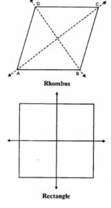 If possible, draw a rough sketch of a quadrilateral which has exactly two lines of symmetry.