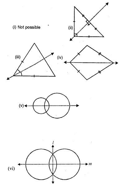 draw line of symmetry in which ever figure possible