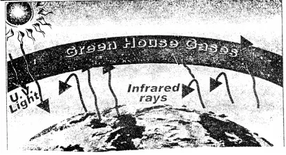 green house effect