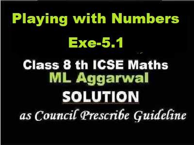 ML Aggarwal Playing with Numbers Exe-5.1