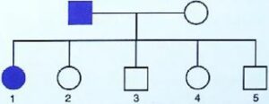 A family consists of two parents and their five children and the pedigree chart shown below shows the inheritance of the trait colour blindness in them.