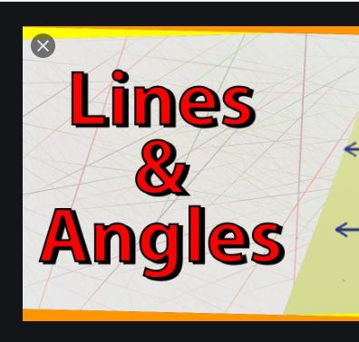 Lines and Angles ML Aggarwal Class-7 ICSE Mathematics Solutions
