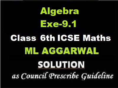 ML Aggarwal Algebra Exe-9.1 Class 6 ICSE Maths Solutions