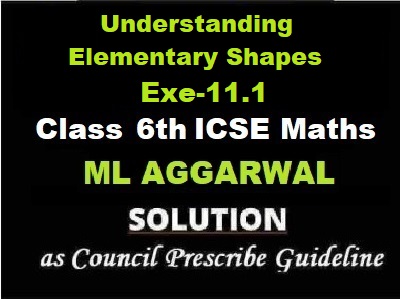 ML Aggarwal Understanding Elementary Shapes Exe-11.1 Class 6 ICSE Maths Solutions Questions as council prescribe guideline for next exam.