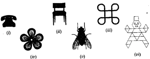 Question 2. Draw the line (or lines) of symmetry, if any, of the following pictures (of objects) and count their number: