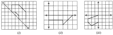 Question 5. Copy the following figures on a squared paper and complete each figure such that the resultant figure is symmetrical about the dotted line (or lines):