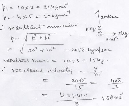 Newton Law Of Motion Nootan Solutions ISC Class-11 Physics - ICSEHELP