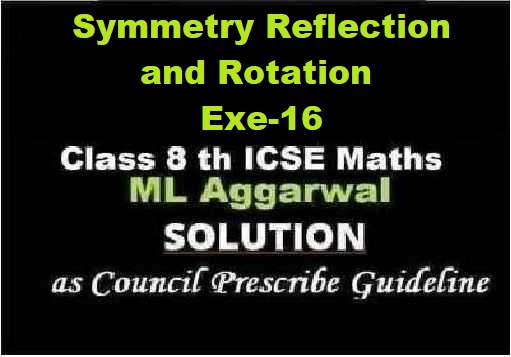 ML Aggarwal Symmetry Reflection and Rotation Exe-16 Class 8 ICSE Ch-16 Maths Solutions