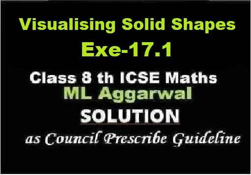ML Aggarwal Visualising Solid Shapes Exe-17.1 Class 8 ICSE Ch-17 Maths Solutions