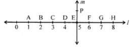 Question 2. In the figure given below, line l is perpendicular to line m.
