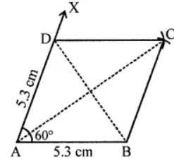 Question 4. Construct a rhombus ABCD with AB = 5.3 cm and ∠A = 60°. Draw its line (or lines) of symmetry.