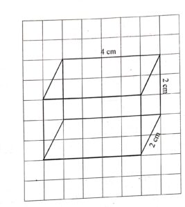 Draw a net for the cuboid on the square grid given below.