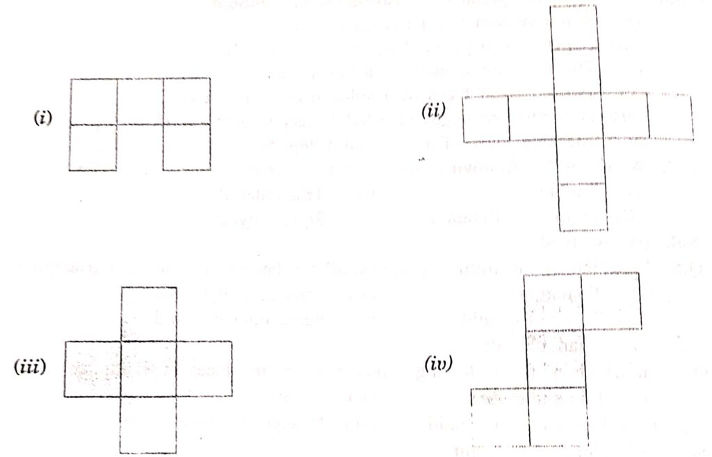 3d solids chapter 18 class 8_6
