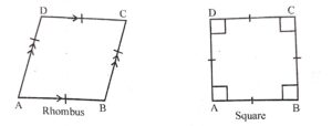 How does a rhombus differ from a square ?