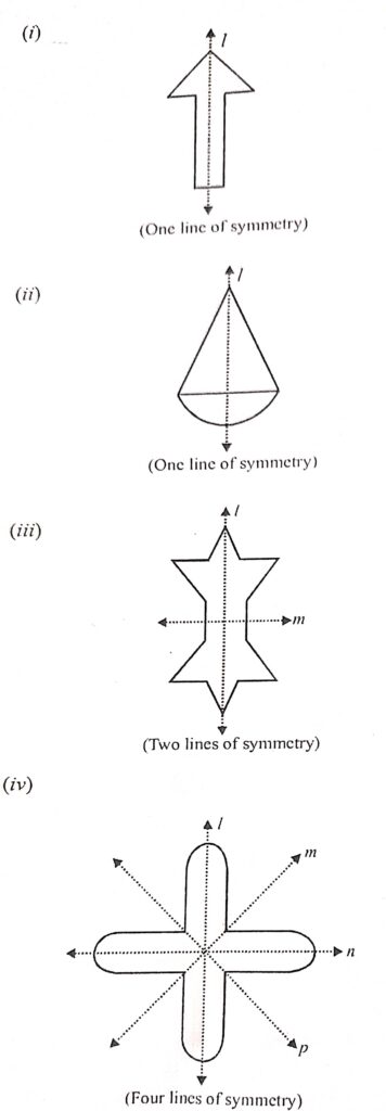 SDraw all possible lines of symmetry in each of the following figures and state the number of lines of symmetry in each case: