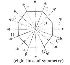 Draw a regular octagon and draw 3 possible lines of symmetry in it.
