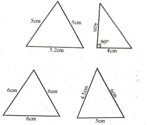 In each of the figures given below state whether the given triangle is equilateral, isosceles or scalene :