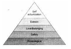 five different levels in Mas low’s hierarchy of needs