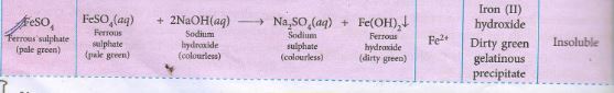 Reaction of salt with sodium hydrooxide first drop by drop then in access FeSO4