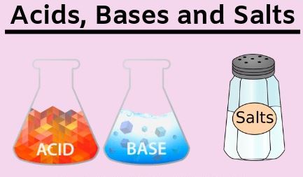 Goyal Brothers Class-10 Acid Base and Salts Ch-3