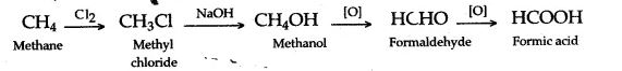 Methane to methanoic acid