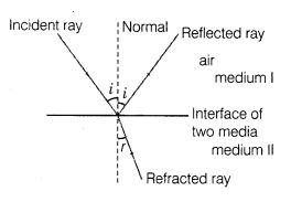 (a) The incident ray, refracted ray and the normal to the refracting surface at the point of incidence lie in the same plane. (b) The ratio of the sine of the angle of incidence to the sine of the angle of refraction is constant for the two given media. This constant is denoted by n and is called the relative refractive index.