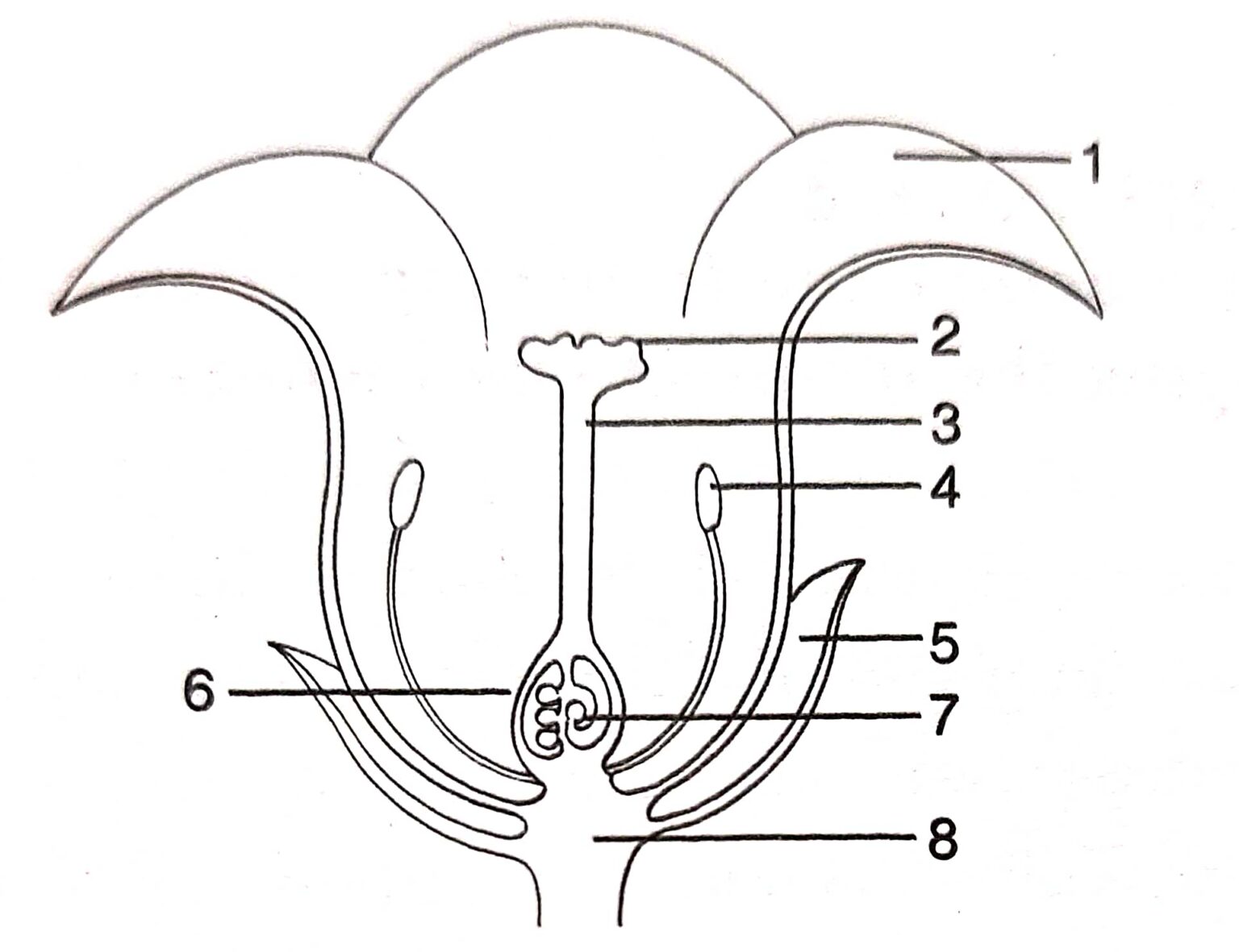 Srijan Class-9 Flower ICSE Biology Solutions Ch-3 - ICSEHELP