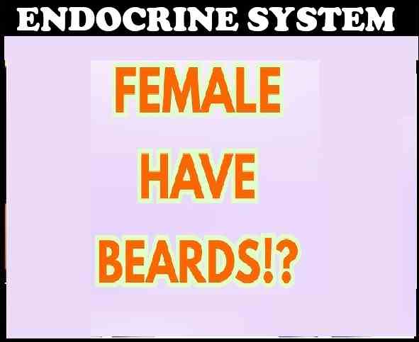 Endocrine System Class 10 Concise Progress Check ICSE Biology Selina Solutions