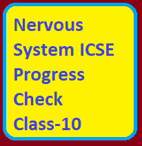 Nervous System ICSE Progress Check Class-10