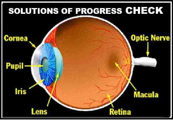 Progress Check of Sense Organs Class 10 Concise ICSE Biology Selina Solutions