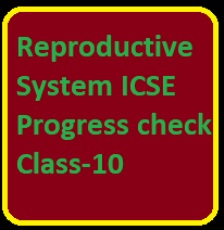 Reproductive System ICSE Progress check Class-10