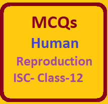 Human Reproduction MCQ for ISC Class 12 Biology