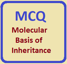 MCQ Molecular Basis of Inheritance for ISC Class 12 Biology