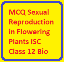 MCQ Sexual Reproduction in Flowering Plants ISC Class 12