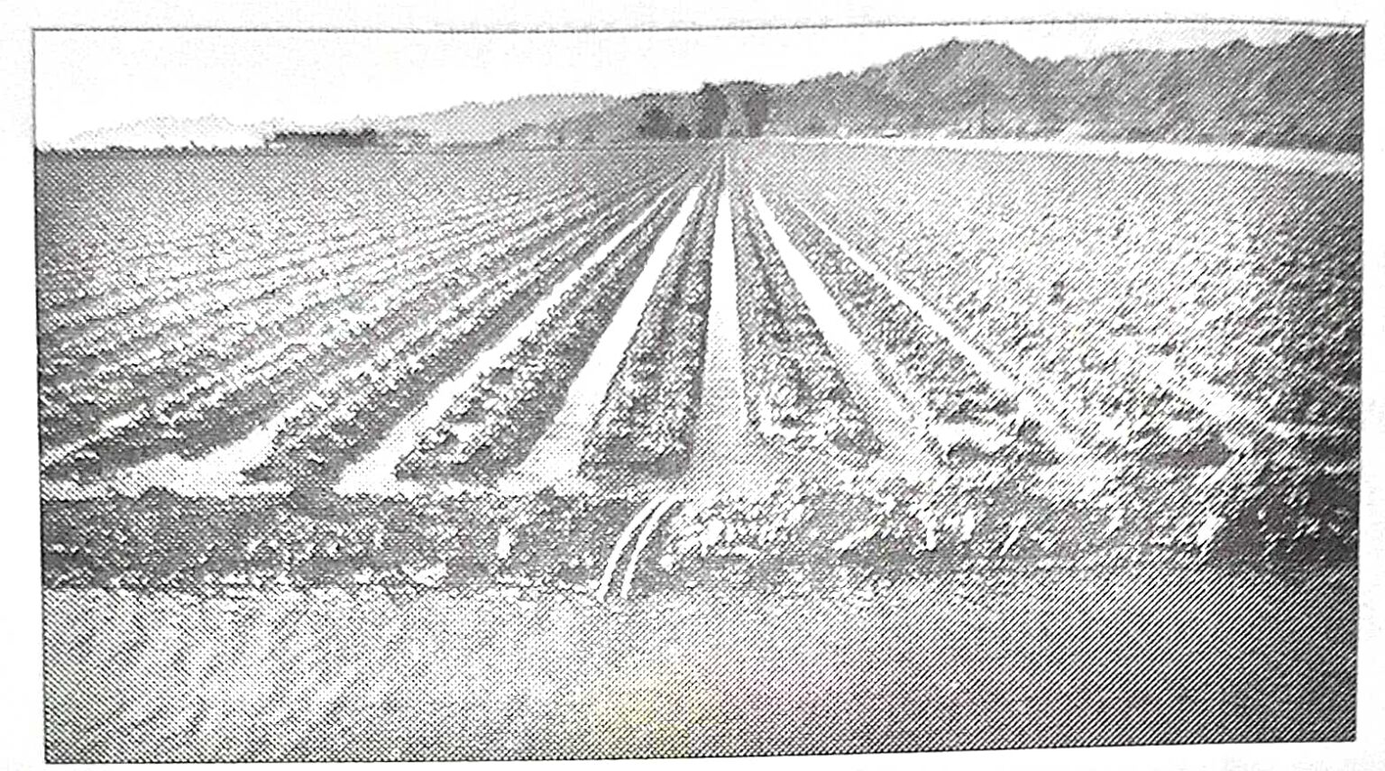 MCQ Water Resources for ICSE Geography Class10 ICSEHELP