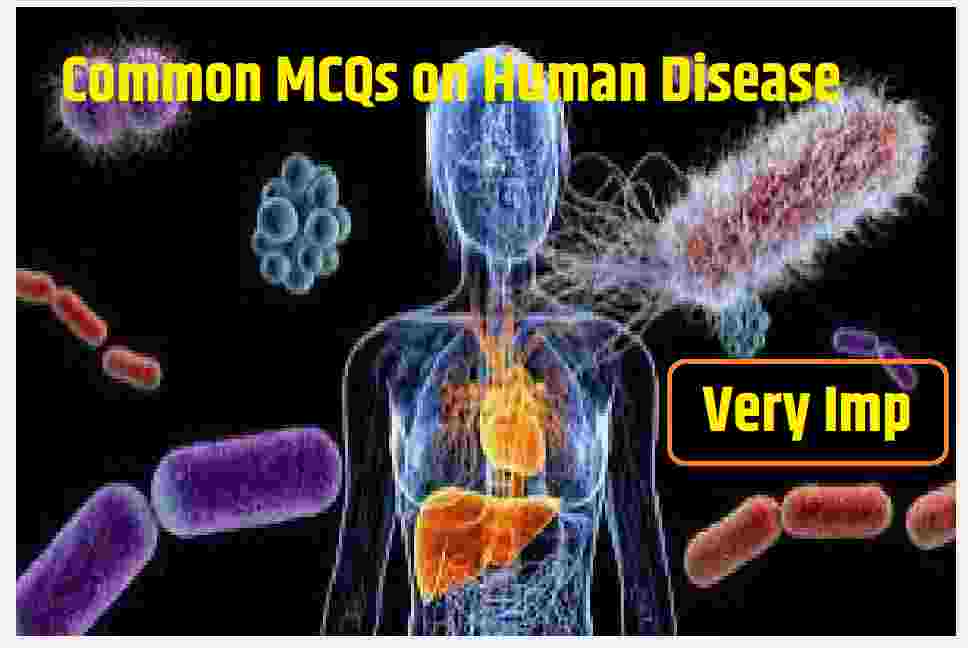 Human Health and Diseases MCQs Type Questions
