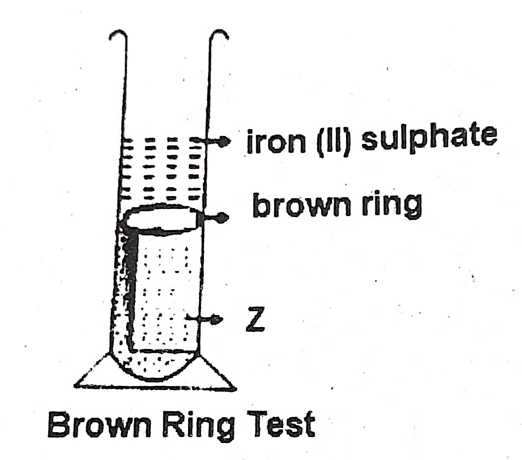 (iv) Study the diagram, which shows the brown Ring Test and answer the questions given below :