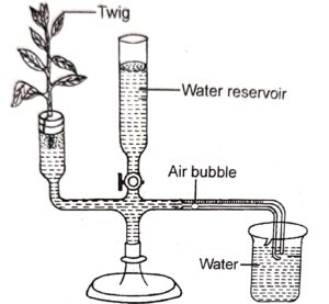 Transpiration Class-10 Long And Structured Goyal Brothers ICSE Biology ...