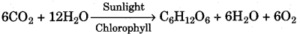 (iv) Write a balanced chemical equation to represent the process of photo-synthesis.