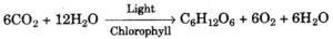 (vi) Write the overall chemical equation for the above process.