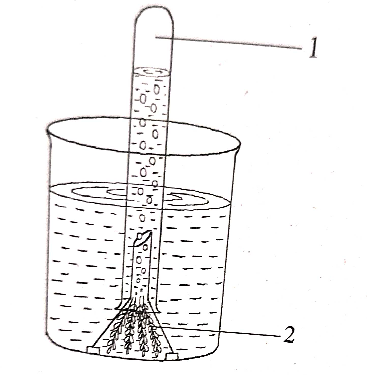 Photosynthesis Class-10 long and Structured Goyal Brothers ICSE Biology ...