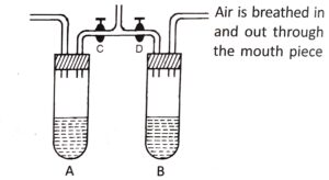 Question 16. The diagram given below represents an experimental setup for demonstrating certain aspects of the air breathed in/out. The two valves C and D help to regulate the direction of the flow of air.