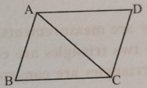 7 triangle 10.1 ques 7