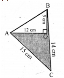 (a) Calculate the area of the shaded region