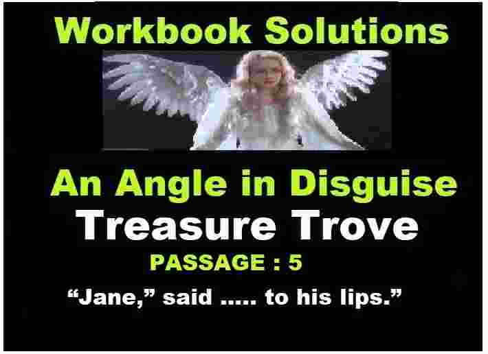 An Angel in Disguise Passage-5 Treasure Trove Workbook ICSE Solutions
