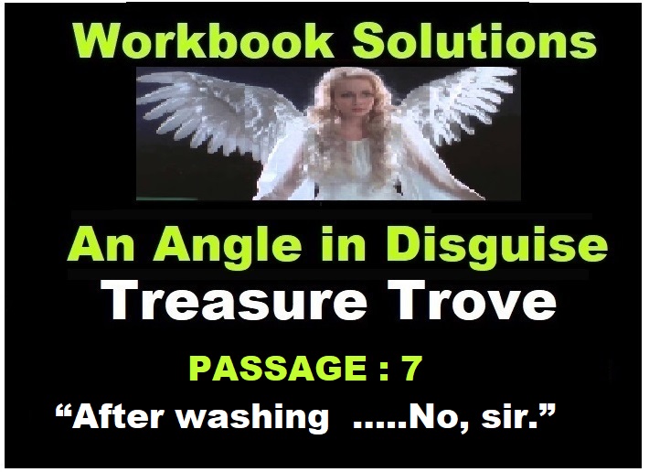 An Angel in Disguise Passage-7 Treasure Trove Workbook ICSE Solutions