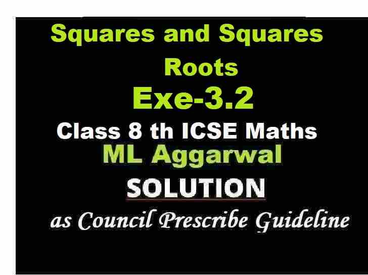 ML Aggarwal Squares and Squares Roots Exe-3.2 Class 8 ICSE Maths Solutions