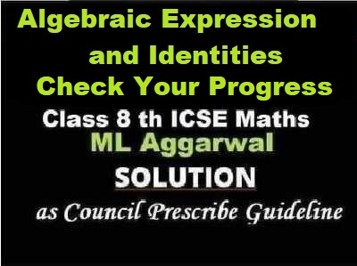 ML Aggarwal Algebraic Expression and Identities Check Your Progress Class 8 ICSE Ch-10 Maths Solutions