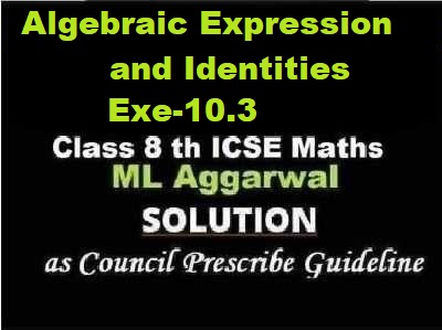 ML Aggarwal Algebraic Expression and Identities Exe-10.3 Class 8